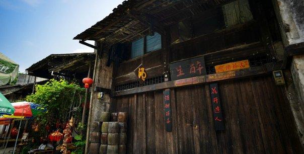 逃离棕榈树森林